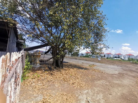 ขาย ที่ดิน บางบัวทอง แยกบางกรวย ไทรน้อย ขนาด 2 ไร่ 2 งาน 48.9 ตร.วา แปลงสวยสี่เหลี่ยม ใกล้ถนนวงแหวนกาญจนาแค่ 100 ม. เหมาะทำโกดัง อพาร์ทเม้น รูปที่ 6