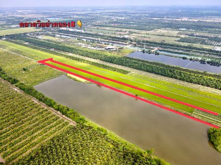 ขาย ที่ดิน โฉนดครุฑแดง เงินสด-เงินผ่อนคลอง 8 หนองเสือ 100 ตร.วา ใกล้แหล่งชุมชน รูปที่ 5