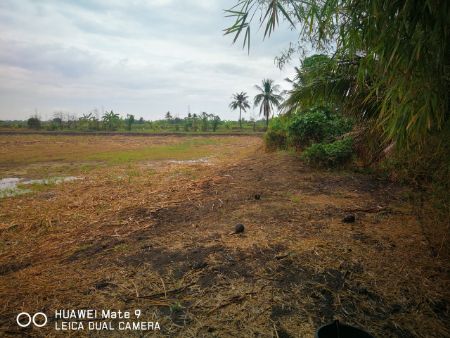 ขาย ที่ดิน ติดน้ำ ติดถนน บรรยากาศดี 39 ไร่ 2 งาน 23 ตร.วา คลองหลวงแพ่ง เมืองฉะเชิงเทรา รูปที่ 4