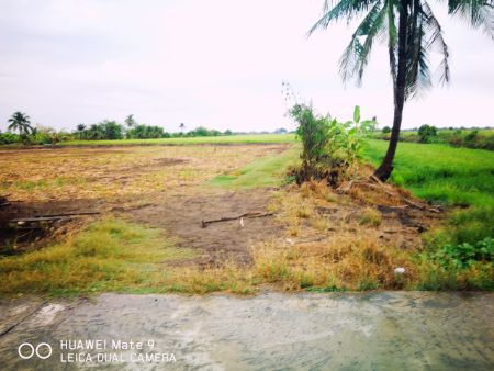 ขาย ที่ดิน ติดน้ำ ติดถนน บรรยากาศดี 39 ไร่ 2 งาน 23 ตร.วา คลองหลวงแพ่ง เมืองฉะเชิงเทรา รูปที่ 5