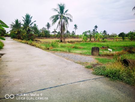 ขาย ที่ดิน ติดน้ำ ติดถนน บรรยากาศดี 39 ไร่ 2 งาน 23 ตร.วา คลองหลวงแพ่ง เมืองฉะเชิงเทรา รูปที่ 6
