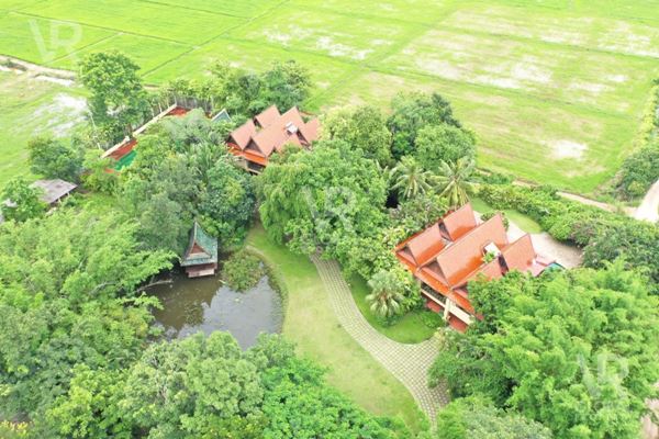รหัสทรัพย์ 62 ขายริโก้ รีสอร์ท เชียงคำ พะเยา Rico Resort - Chiang Kham บนที่ดิน 48 ไร่ รูปที่ 5