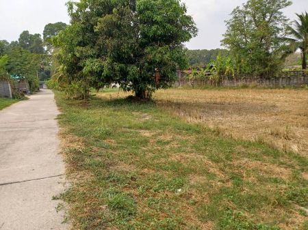 ขาย ที่ดิน โฉนดครุฑแดงฟรีค่าโอนบ้านนา 1 ตร.วา ไฟฟ้า ประปาพร้อม ติดถนนคอนกรีตทุกแปลง รูปที่ 3