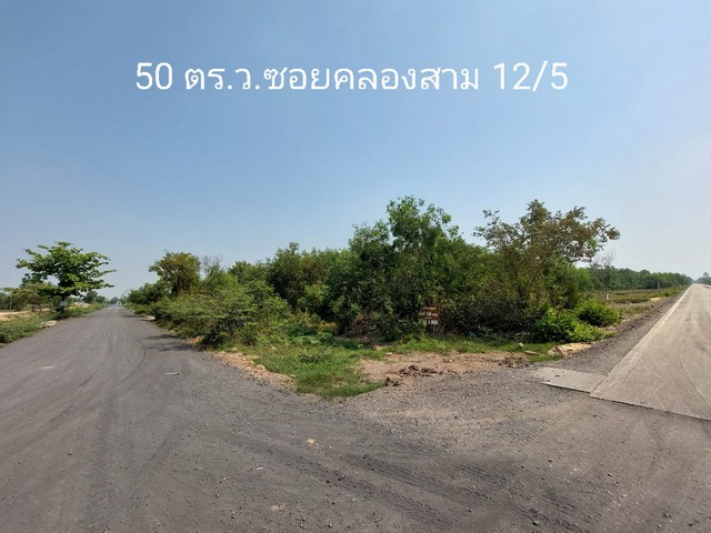 ขายด่วน ที่ดิน 50 ตรว.ถมแล้ว ใกล้วัดพระธรรมกาย ซ.คลองสาม 12/5 อ.คลองหลวง ปทุมธานี รูปที่ 1