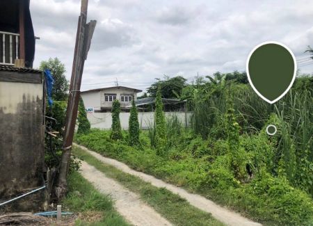 ขาย ที่ดิน ทำเลดี ใกล้แหล่งความเจริญสามแยกบางใหญ่ 100 ตร.วา เหมาะแก่การปลูกที่อยู่อาศัย รูปที่ 3