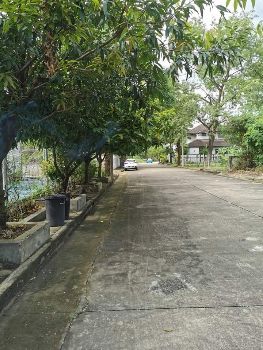 ขาย ที่ดิน โฉนดครุฑแดงหมู่บ้านร่มรื่น ซอยราชพฤกษ์28 113 ตร.วา ใกล้เซ็นทรัลสาขาราชพฤกษ์ หมายกำหนดเสร็จปี 2567 รูปที่ 3