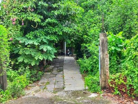 ขาย ที่ดิน ทำเลใจกลางเมืองจรัญ 13 1 ตร.วา การเดินทางสะดวก 
ใกล้สถานีรถไฟฟ้าจรัญฯ เพียง 950 เมตร รูปที่ 6