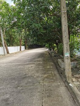 ขาย ที่ดิน โฉนดครุฑแดงหมู่บ้านร่มรื่น ซอยราชพฤกษ์28 113 ตร.วา ใกล้เซ็นทรัลสาขาราชพฤกษ์ หมายกำหนดเสร็จปี 2567 รูปที่ 2