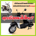 ราคาโปรโมชั่น ไฟฟ้ารถจักรยานยนต์ 1000W brushless แม่เหล็กถาวรมอเตอร์ความเร็วสูงสุด 55 km  h ระดับ highend หรูหรารถยนต์ไฟฟ้า 175 กก. โหลดรถจักรยานไ TaLat Thai