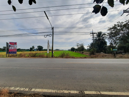 ที่ดินเงินผ่อน คลองแปด หนองเสือ บึงบอน ห่างถนนรังสิต-นครนายก 8.5 กม. รูปที่ 1