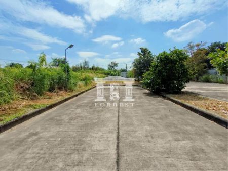 ขาย ที่ดิน รหัส 41721 หมู่บ้านณิชาตรา พุทธมณฑล สาย 2 ทวีวัฒนา เนื้อที่ 312.1 ตร.วา ที่สวยมาก รูปที่ 3