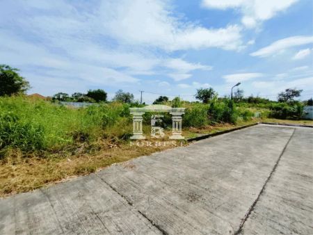 ขาย ที่ดิน รหัส 41721 หมู่บ้านณิชาตรา พุทธมณฑล สาย 2 ทวีวัฒนา เนื้อที่ 312.1 ตร.วา ที่สวยมาก รูปที่ 2