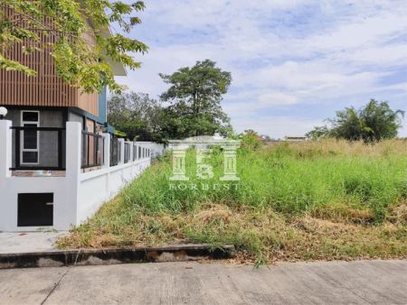 ขาย ที่ดิน รหัส 41721 หมู่บ้านณิชาตรา พุทธมณฑล สาย 2 ทวีวัฒนา เนื้อที่ 312.1 ตร.วา ที่สวยมาก รูปที่ 5