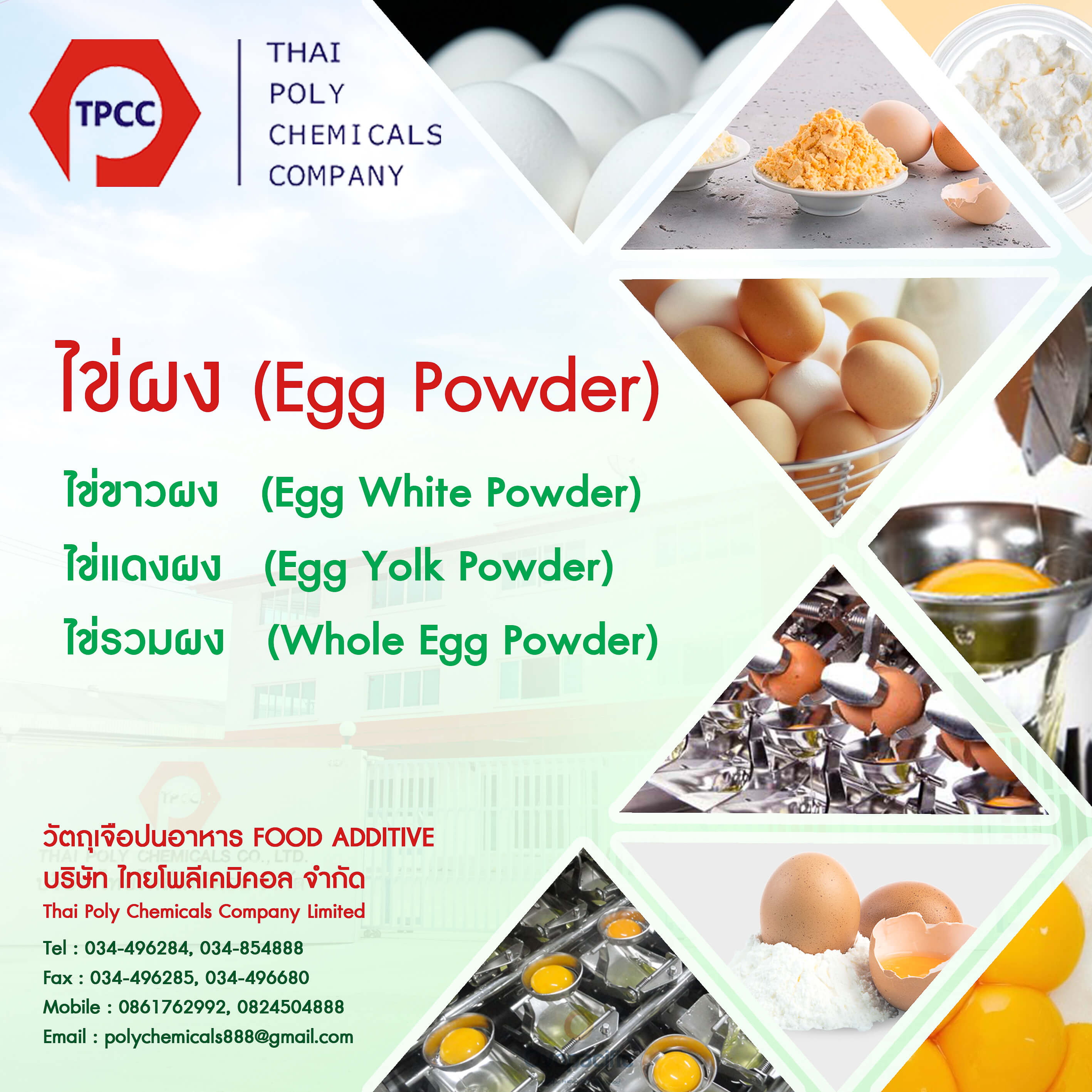 ไข่ขาวผง, ไข่แดงผง, ไข่รวมผง, Egg Albumen Powder, Egg Yolk Powder, Whole Egg Powder รูปที่ 1