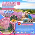 📍 ZMSN02: ทัวร์แม่ฮ่องสอน ปาย-ปางอุ๋ง-บ้านรักไทย 3วัน 2คืน  ✈️เดินทางโดยสายการบิน THAI VIETJET