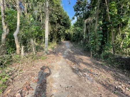 ขาย ที่ดิน วิวทะเลสาบ โฉนดพร้อมโอนเนินเขาเกาะยอ 53.4 ตร.วา เหมาะสำหรับ สร้างบ้านพัก ตากอากาศ 
มองเห็นวิวทะเลแบบ 180 องศา รูปที่ 5