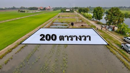 ขาย ที่ดิน โฉนดครุฑแดง ฟรีค่าโอนภาษีคลอง4 คลองหลวง 200 ตร.วา บรรยากาศวิวดีสุดๆ เหมาะสร้างบ้าน            
พักตากอากาศทำเลใกล้เมือง รูปที่ 2