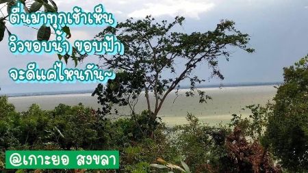 ขาย ที่ดิน วิวทะเลสาบ โฉนดพร้อมโอนเนินเขาเกาะยอ 53.4 ตร.วา เหมาะสำหรับ สร้างบ้านพัก ตากอากาศ 
มองเห็นวิวทะเลแบบ 180 องศา รูปที่ 2