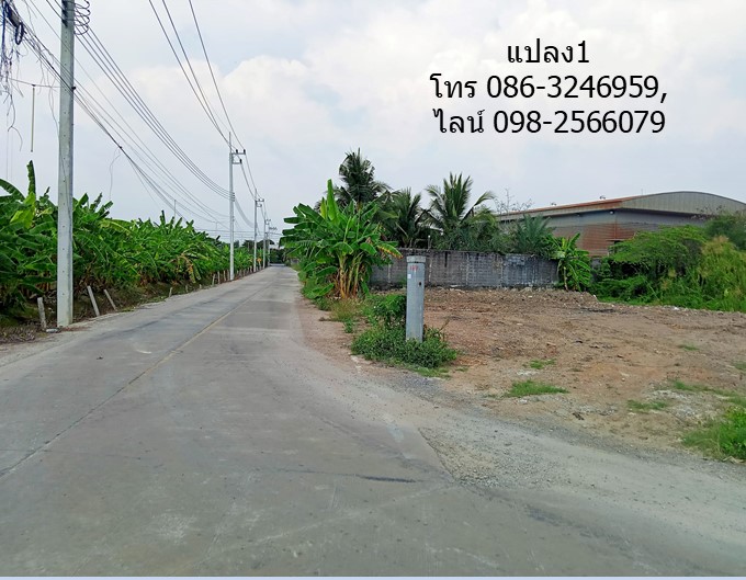 ขายที่ดิน ถ.มหาสวัสดิ์ มี 2 แปลงๆ ละ 145 วา ไม่ติดกัน ใกล้ถนนบรมราชชนนี พุทธมณฑล,โกลบอลเฮ้าส์ เซ็นทรัล แม็คโคร มหิดล รูปที่ 6