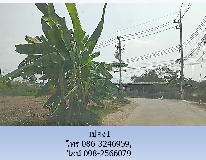 ขายที่ดิน ถ.มหาสวัสดิ์ มี 2 แปลงๆ ละ 145 วา ไม่ติดกัน ใกล้ถนนบรมราชชนนี พุทธมณฑล,โกลบอลเฮ้าส์ เซ็นทรัล แม็คโคร มหิดล รูปที่ 4