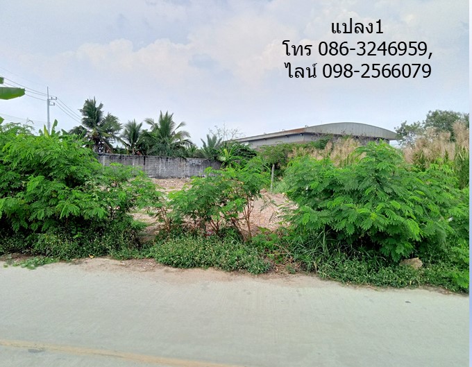 ขายที่ดิน ถ.มหาสวัสดิ์ มี 2 แปลงๆ ละ 145 วา ไม่ติดกัน ใกล้ถนนบรมราชชนนี พุทธมณฑล,โกลบอลเฮ้าส์ เซ็นทรัล แม็คโคร มหิดล รูปที่ 3