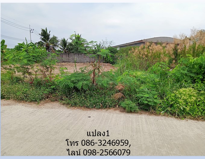 ขายที่ดิน ถ.มหาสวัสดิ์ มี 2 แปลงๆ ละ 145 วา ไม่ติดกัน ใกล้ถนนบรมราชชนนี พุทธมณฑล,โกลบอลเฮ้าส์ เซ็นทรัล แม็คโคร มหิดล รูปที่ 5