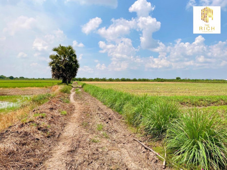 ขาย ที่ดิน เหมาะกับการทำการเกษตร ที่ดินไทรน้อย 5 ไร่ รูปที่ 1