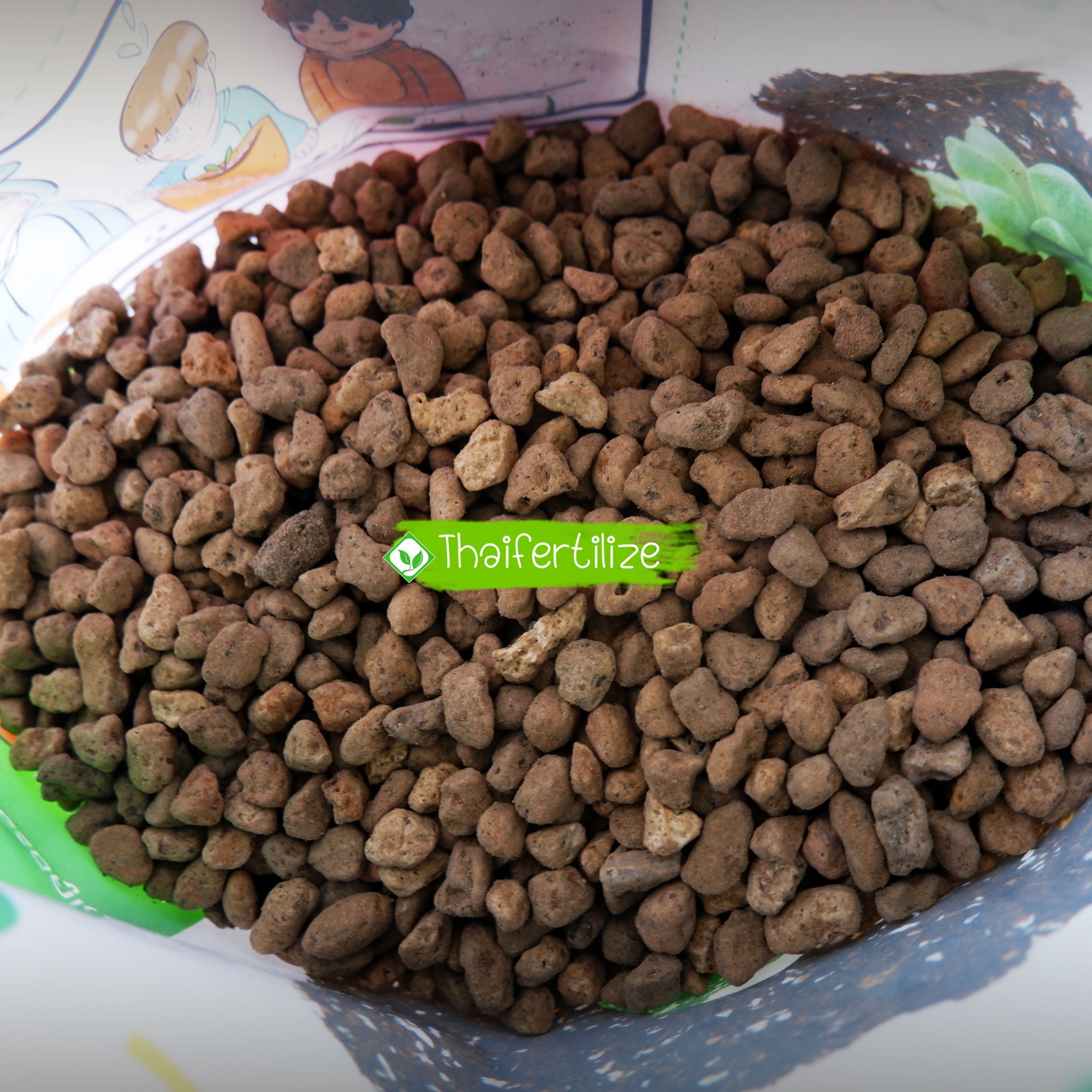 หินภูเขาไฟ หรือ หินพูไมต์ Pumice เกรดนำเข้าจากต่างประเทศ รูปที่ 4