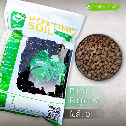 หินภูเขาไฟ หรือ หินพูไมต์ Pumice เกรดนำเข้าจากต่างประเทศ รูปที่ 5