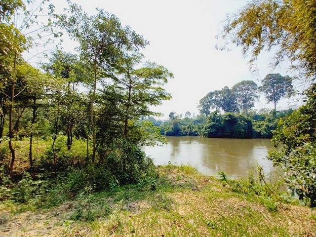 ขายที่ดินไทรโยค กาญจนบุรี ติดแม่น้ำ แควน้อย 34 ไร่  ใกล้ทางไปอุทยานแห่งชาติไทรโยค-เอราวัณ  รูปที่ 1