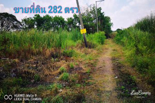 ขาย ที่ดิน แปลงมุม ขายถูก 2 งาน 82 ตร.วา ใกล้ถนนกาญจนาภิเษก ถนนพุทธมณฑลสาย2 รูปที่ 4
