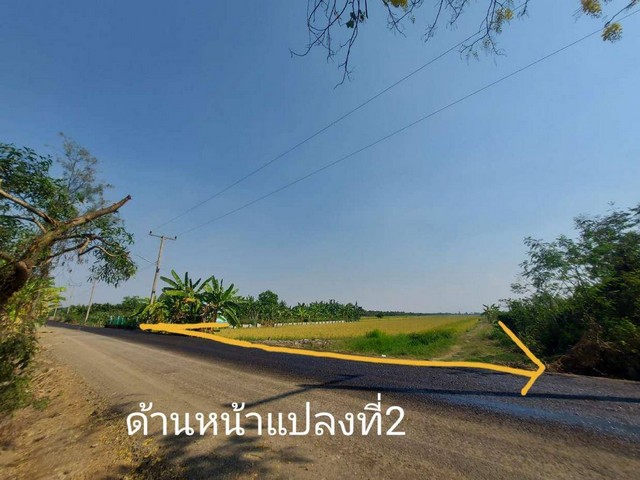 ขายที่ดินราคาถูก ติดคลอง25 ใกล้ทางด่วน หลังมอ มศว. องครักษ์  รูปที่ 1