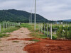 รูปย่อ ที่ดิน แบ่งขาย โฉนดครุฑแดง นส.4จ วิวเขาสวยๆ ติดถนนสองด้าน อยู่ในชุมชน รูปที่8