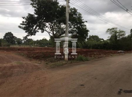 ขาย ที่ดิน รหัส 90255เขาใหญ่ ปากช่อง นครราชสีมา 25 ไร่ 1 งาน 96 ตร.วา ใกล้อุทยานเขาใหญ่ รูปที่ 4