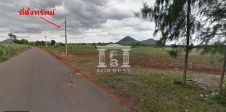 ขาย ที่ดิน รหัส 90255เขาใหญ่ ปากช่อง นครราชสีมา 25 ไร่ 1 งาน 96 ตร.วา ใกล้อุทยานเขาใหญ่ รูปที่ 6