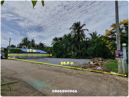 ขายที่ดินสี่เหลี่ยมสวย คลองใหม่ สามพราน ทำเลเงียบสงบ ใกล้โรงเรียน โรงพยาบาล วัด ตลาด อบต. รูปที่ 3