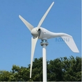 800W 12V 24V 48V Portable Wind Turbine Household 6 Blades Small Wind Generators For Home Roof Low Wind Speed
