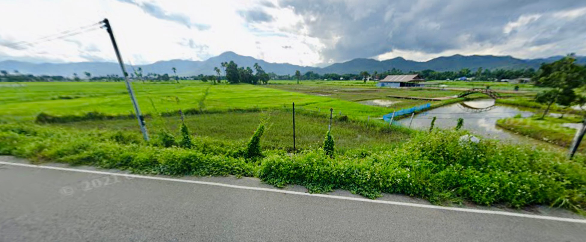 ขายที่นา วิวสวยภูเขาล้อม สามารถพัฒนาเป็สถานที่พัก หรือ สร้างบ้านพักส่วนตัว รูปที่ 1