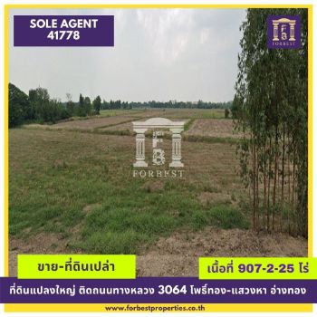 ขาย ที่ดิน แปลงใหญ่ รหัส 41778 โพธิ์ทอง แสวงหา อ่างทอง เนื้อที่ 907 ไร่ 2 งาน 25 ตร.วา ติดทางหลวง 3064 รูปที่ 6