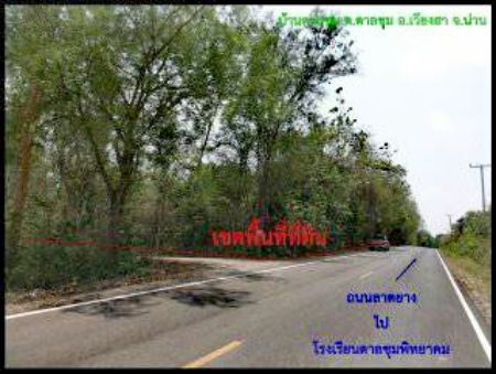 ขาย ที่ดิน อ.เวียงสา น่าน 12 ไร่ 49 ตร.วา ติดถนน3ด้าน อยู่กลางชุมชน รูปที่ 8