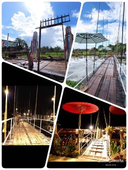 ขาย ที่ดิน อ.เวียงสา น่าน 12 ไร่ 49 ตร.วา ติดถนน3ด้าน อยู่กลางชุมชน รูปที่ 11