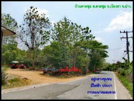 ขาย ที่ดิน อ.เวียงสา น่าน 12 ไร่ 49 ตร.วา ติดถนน3ด้าน อยู่กลางชุมชน รูปที่ 7