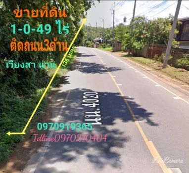 ขาย ที่ดิน อ.เวียงสา น่าน 12 ไร่ 49 ตร.วา ติดถนน3ด้าน อยู่กลางชุมชน รูปที่ 2