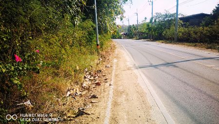 ขาย ที่ดิน อ.เวียงสา น่าน 12 ไร่ 49 ตร.วา ติดถนน3ด้าน อยู่กลางชุมชน รูปที่ 6