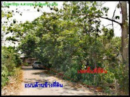 ขาย ที่ดิน อ.เวียงสา น่าน 12 ไร่ 49 ตร.วา ติดถนน3ด้าน อยู่กลางชุมชน รูปที่ 10