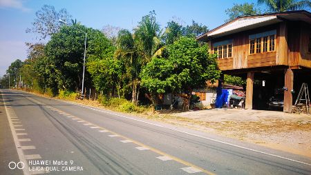 ขาย ที่ดิน อ.เวียงสา น่าน 12 ไร่ 49 ตร.วา ติดถนน3ด้าน อยู่กลางชุมชน รูปที่ 5