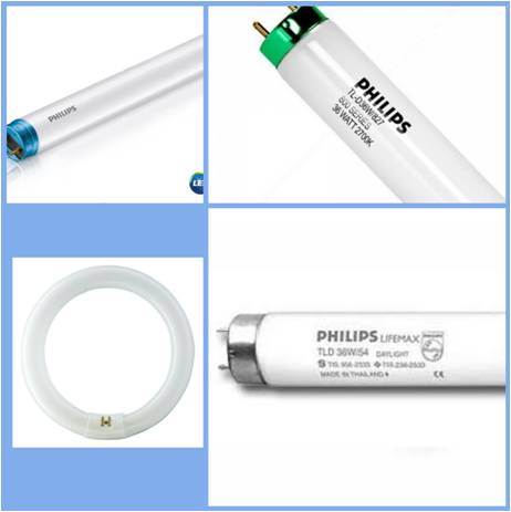 ขายหลอดไฟ Philips หลอดฆ่าเชื้อ หลอดฮาโลเจน หลอดฟลูออเรสเซนต์ หลอดแสงจันทร์ หลอดฆ่าเชื้อ หลอดไล่แมลง หลอดอินฟาเรด ศูนย์รวมขายหลอดไฟ ขายปลีกส่ง  061-395-1047, 062-698-9229   รูปที่ 4