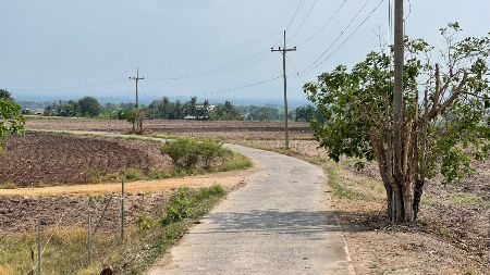 ขาย ที่ดิน ติดทางคอนกรีตต.เกาะเเก้วอ.โคกสำโรงจ.ลพบุรี เนื้อที่ 8 ไร่ น้ำ-ไฟฟ้าหน้าแปลง รูปที่ 7