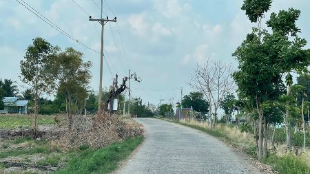 ขาย ที่ดิน ติดทางคอนกรีตต.เกาะเเก้วอ.โคกสำโรงจ.ลพบุรี เนื้อที่ 8 ไร่ น้ำ-ไฟฟ้าหน้าแปลง รูปที่ 5