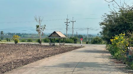 ขาย ที่ดิน ติดทางคอนกรีตต.เกาะเเก้วอ.โคกสำโรงจ.ลพบุรี เนื้อที่ 8 ไร่ น้ำ-ไฟฟ้าหน้าแปลง รูปที่ 3